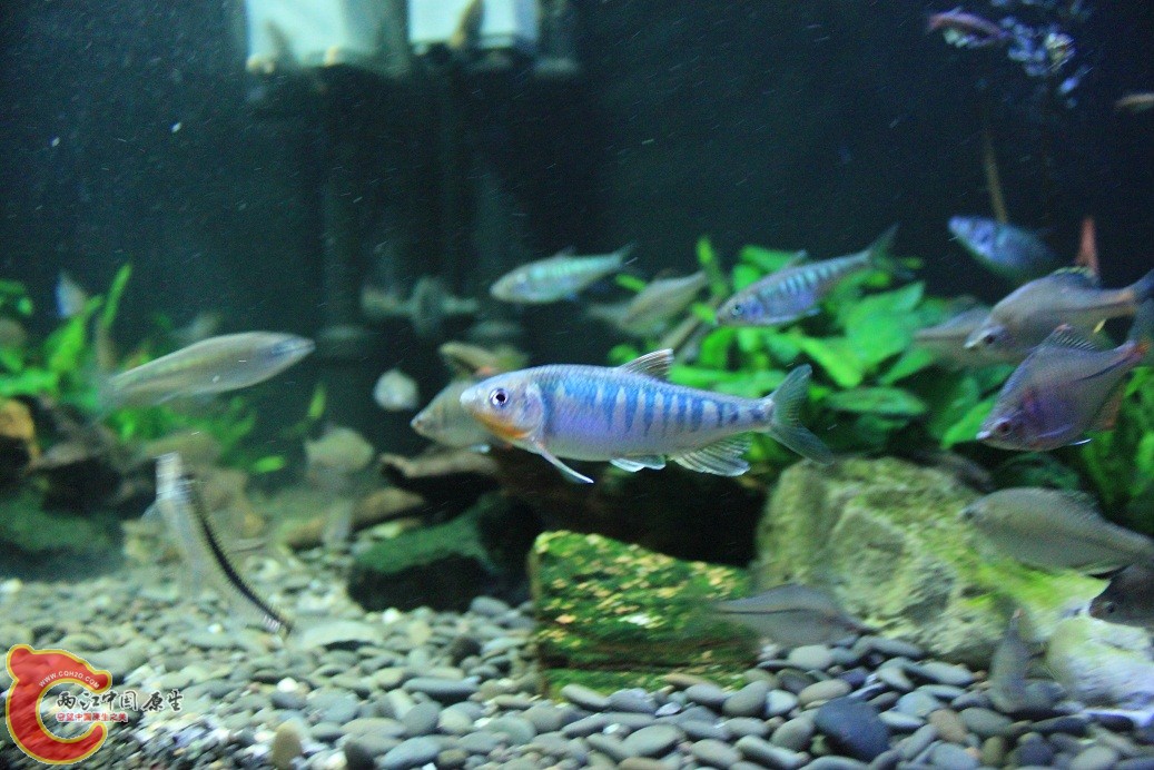 IMG_3621.JPG