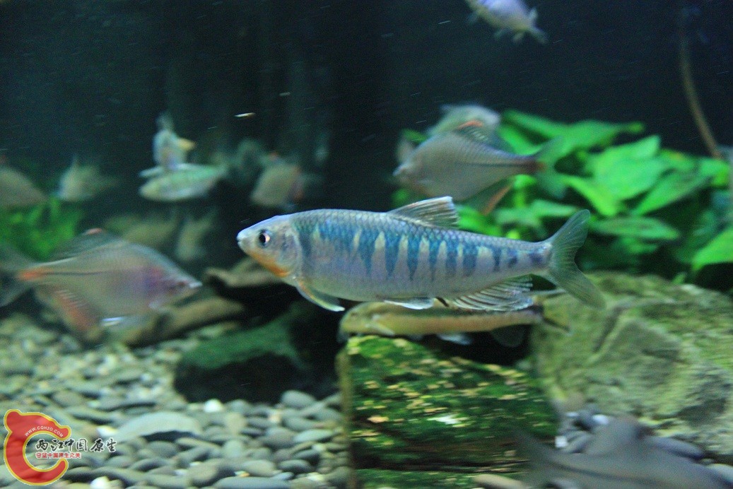 IMG_3636.JPG
