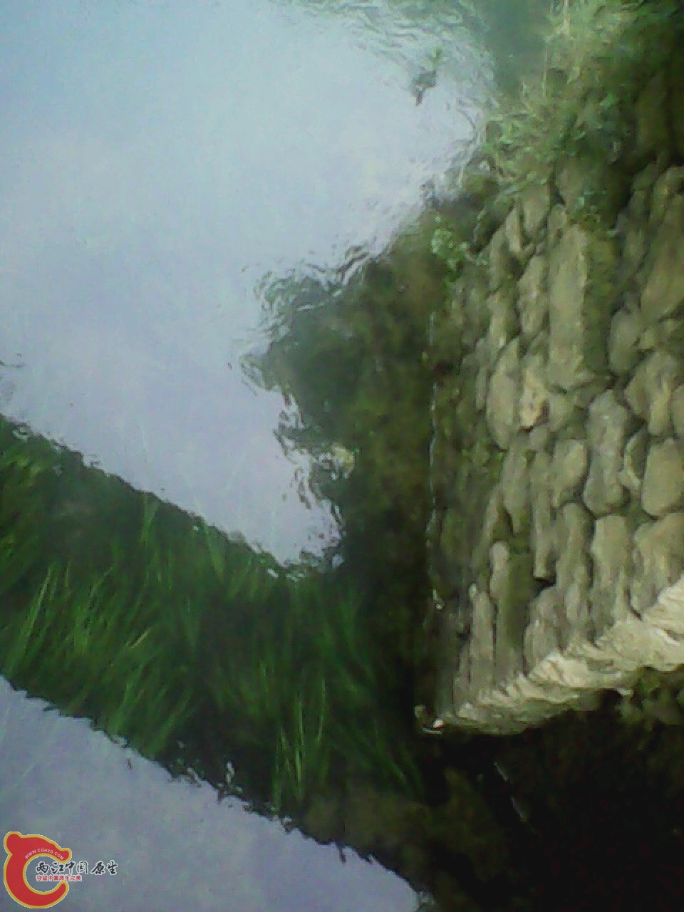 img0804_163044551.jpg