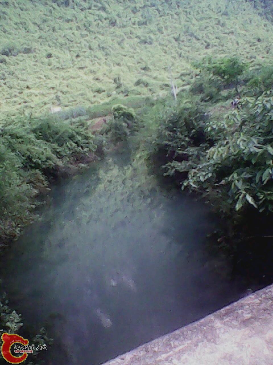 img0804_163106548.jpg