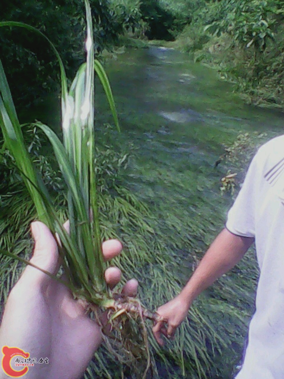 img0804_161219984.jpg