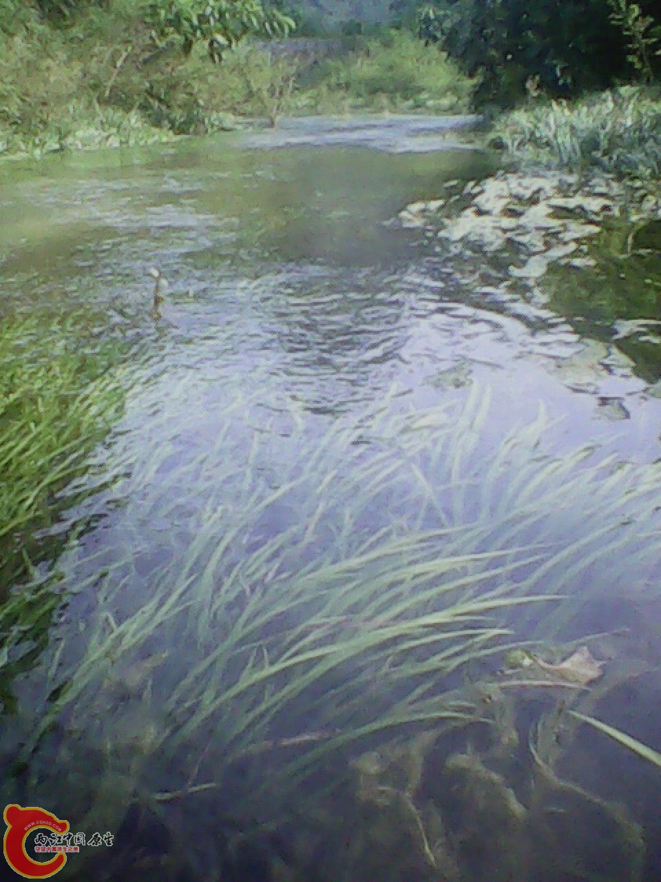 img0804_161556019.jpg
