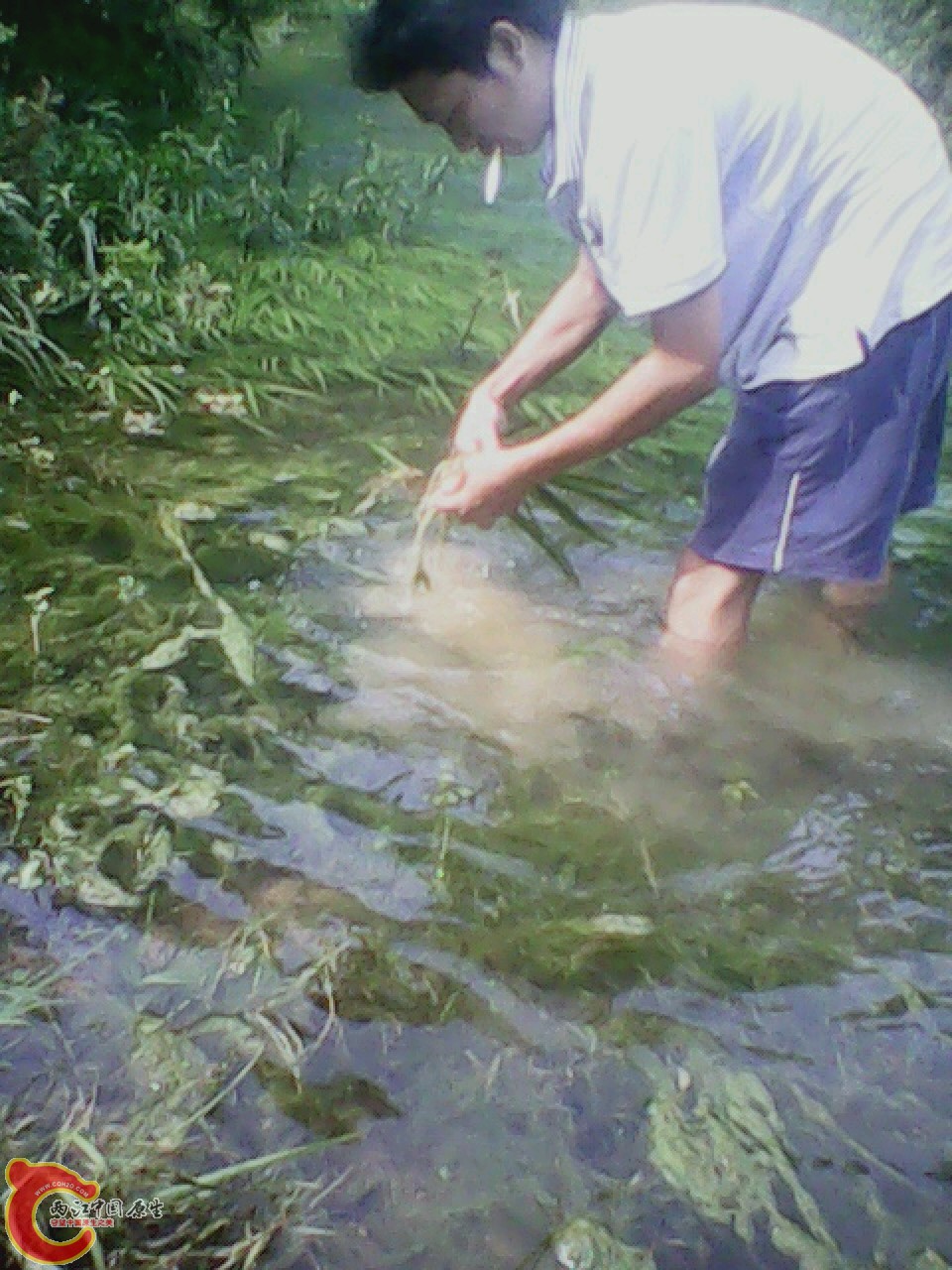 img0804_161054945.jpg