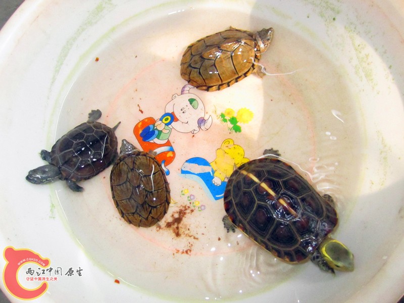 IMG_5265_副本.jpg