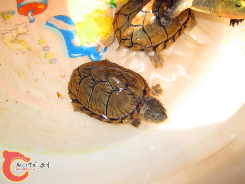 IMG_5267_副本.jpg