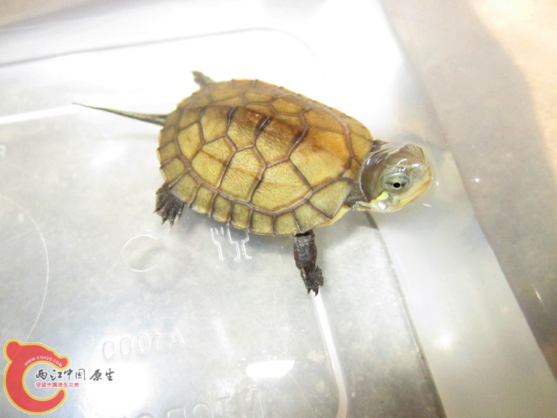 IMG_5275_副本.jpg