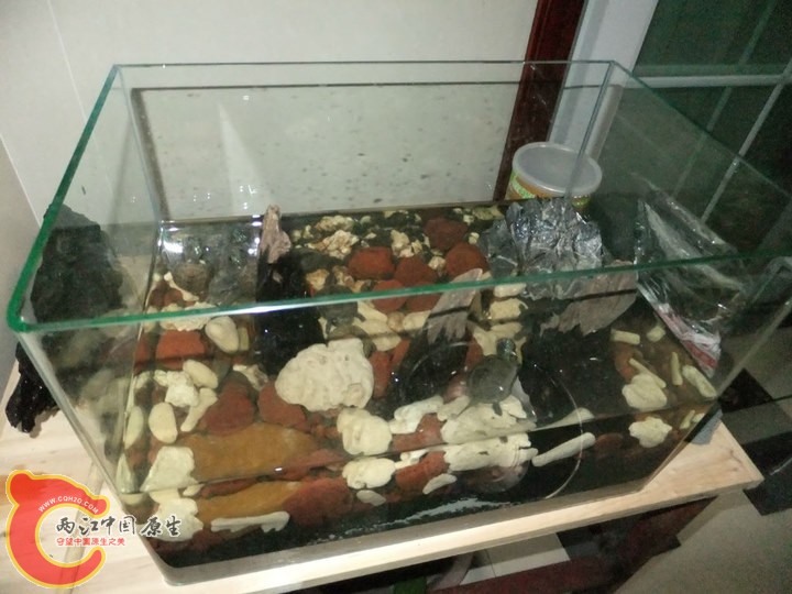 large_noaL_5ab300000c4a125f.jpg