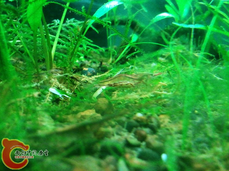 2012-08-07 21.19.45.jpg