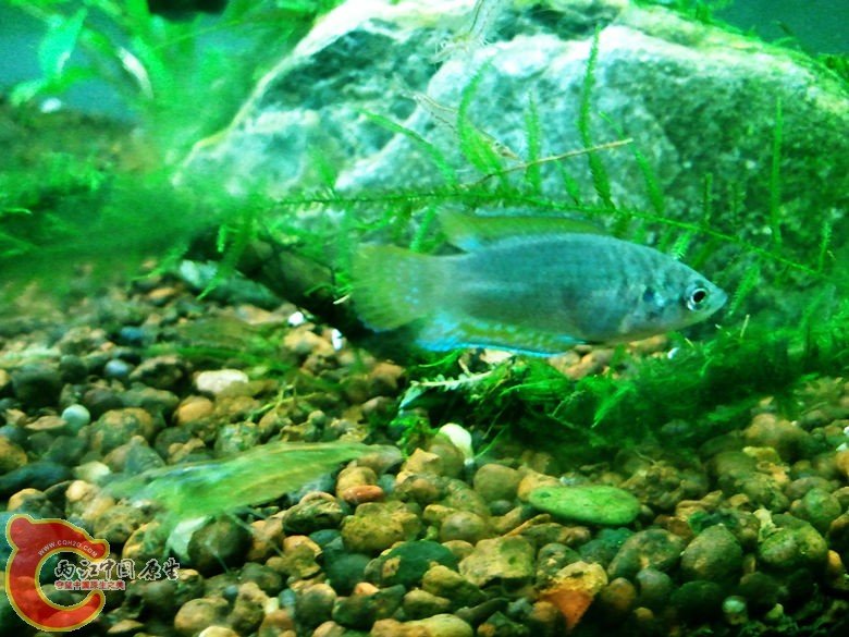 2012-08-07 21.25.23.jpg