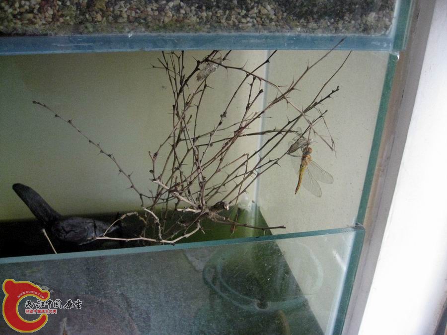 照片 1207.jpg