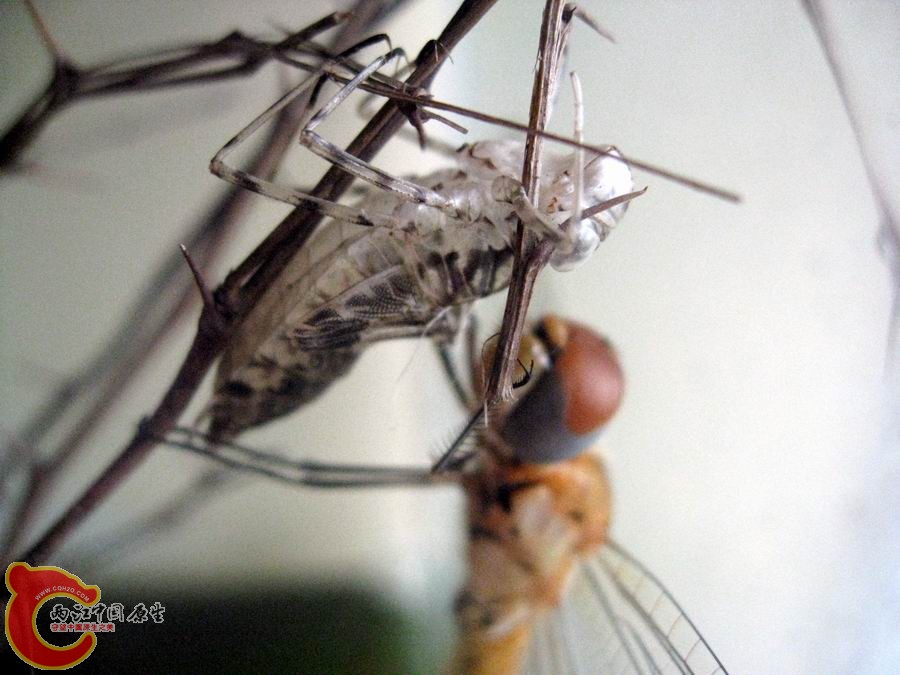 照片 1208.jpg