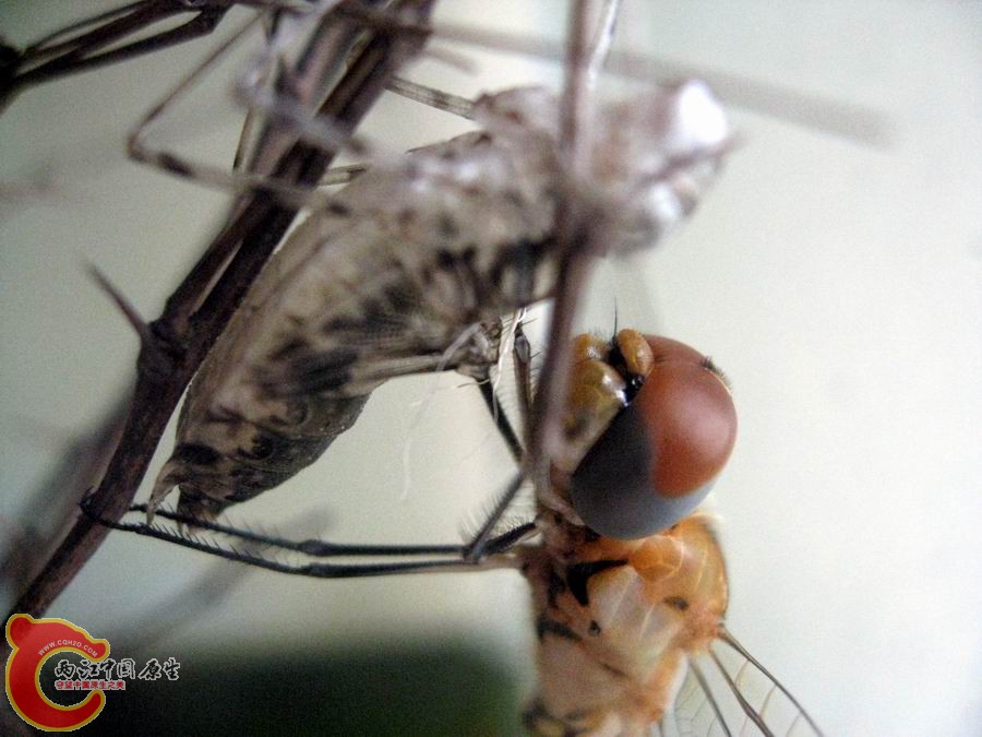 照片 1209.jpg