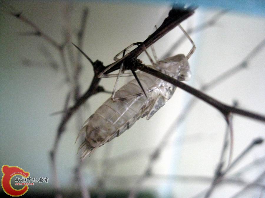 照片 1210.jpg