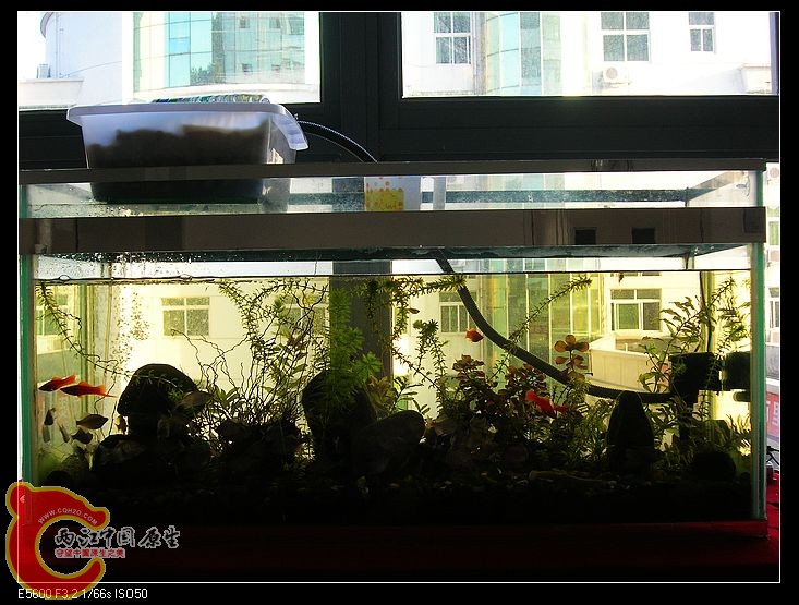 nEO_IMG_DSCN5384.jpg nEO_IMG_DSCN5384.jpg