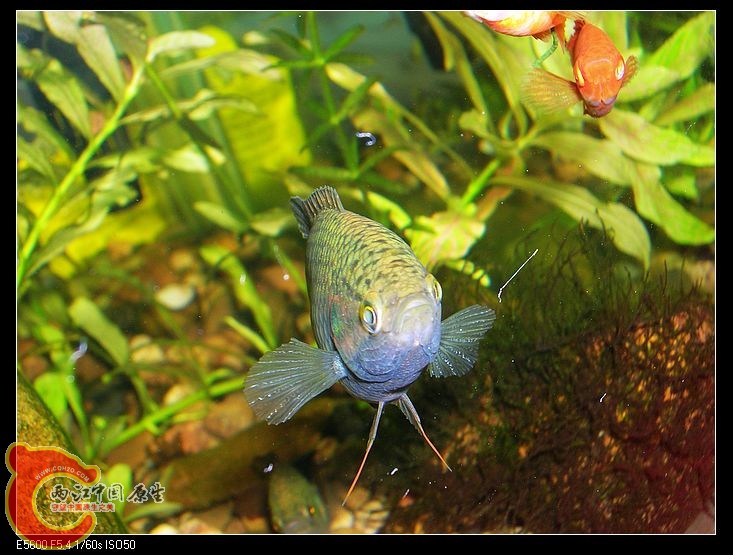 nEO_IMG_DSCN5392.jpg nEO_IMG_DSCN5392.jpg