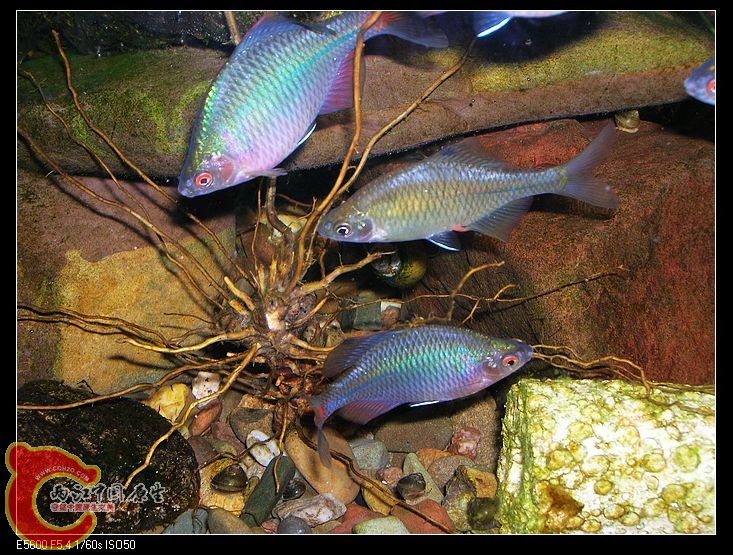 nEO_IMG_DSCN5391.jpg nEO_IMG_DSCN5391.jpg