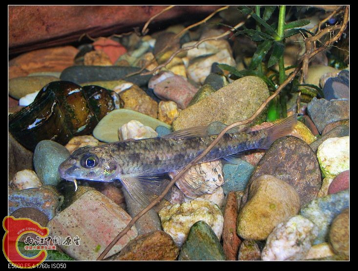 nEO_IMG_DSCN5405.jpg nEO_IMG_DSCN5405.jpg