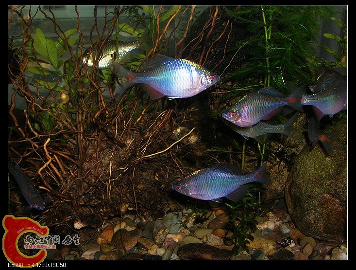 nEO_IMG_DSCN5413.jpg nEO_IMG_DSCN5413.jpg