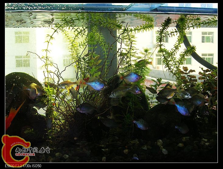 nEO_IMG_DSCN5433.jpg nEO_IMG_DSCN5433.jpg