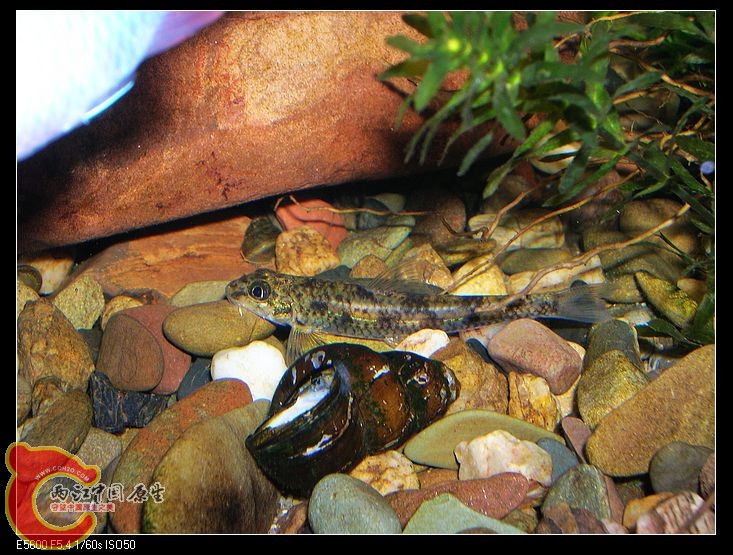 nEO_IMG_DSCN5426.jpg nEO_IMG_DSCN5426.jpg