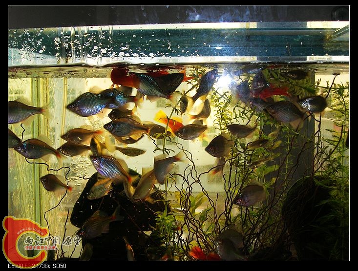 nEO_IMG_DSCN5437.jpg nEO_IMG_DSCN5437.jpg