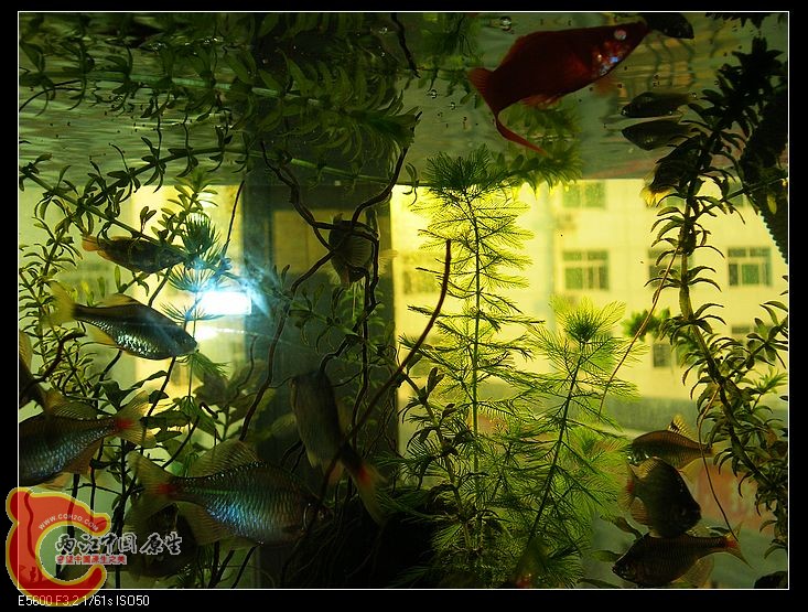 nEO_IMG_DSCN5442.jpg nEO_IMG_DSCN5442.jpg