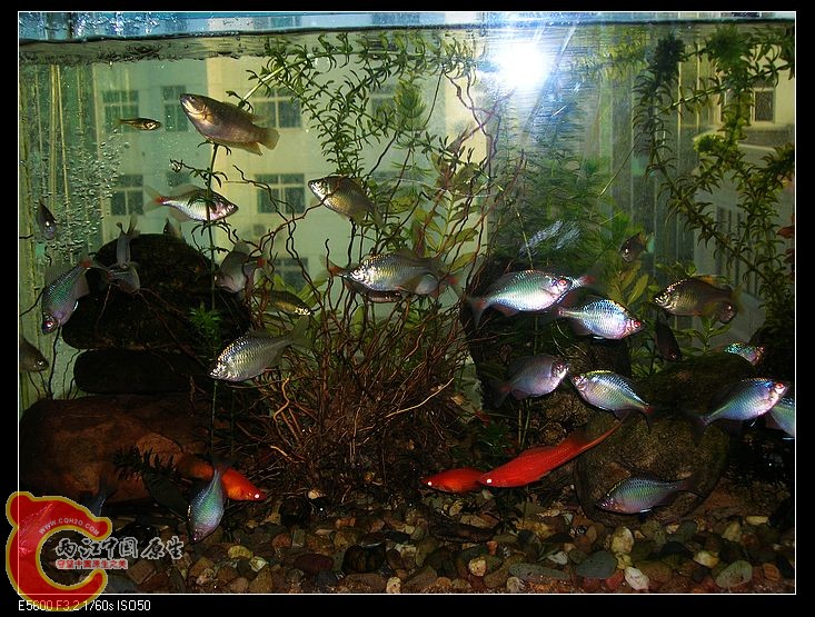 nEO_IMG_DSCN5458.jpg nEO_IMG_DSCN5458.jpg