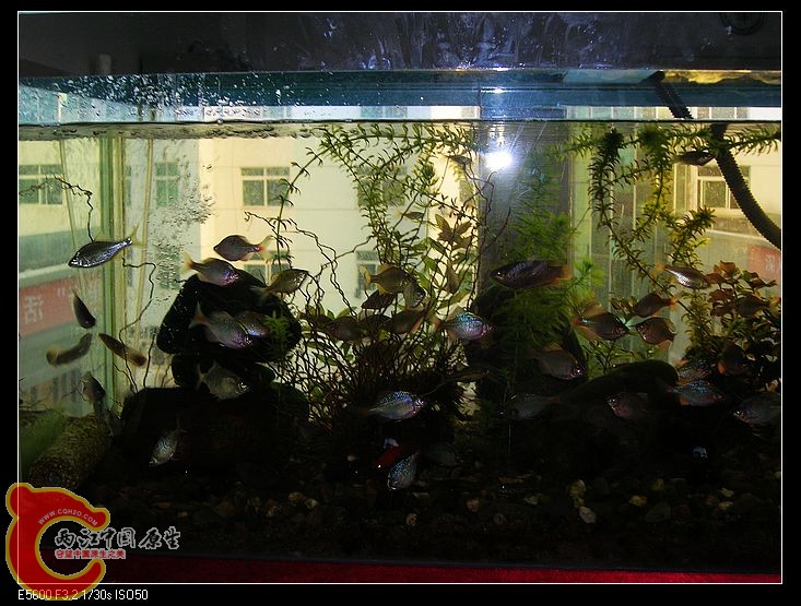 nEO_IMG_DSCN5457.jpg nEO_IMG_DSCN5457.jpg