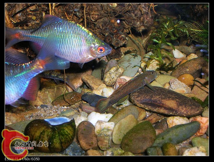 nEO_IMG_DSCN5462.jpg nEO_IMG_DSCN5462.jpg