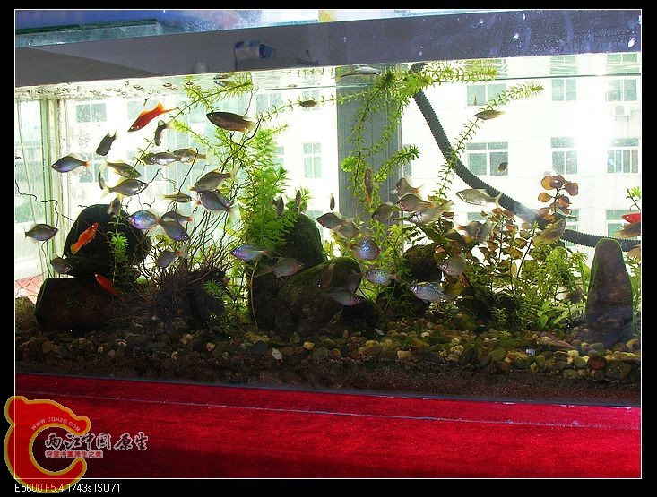 nEO_IMG_DSCN5473.jpg nEO_IMG_DSCN5473.jpg