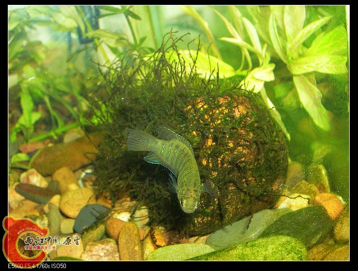 nEO_IMG_DSCN5476.jpg nEO_IMG_DSCN5476.jpg