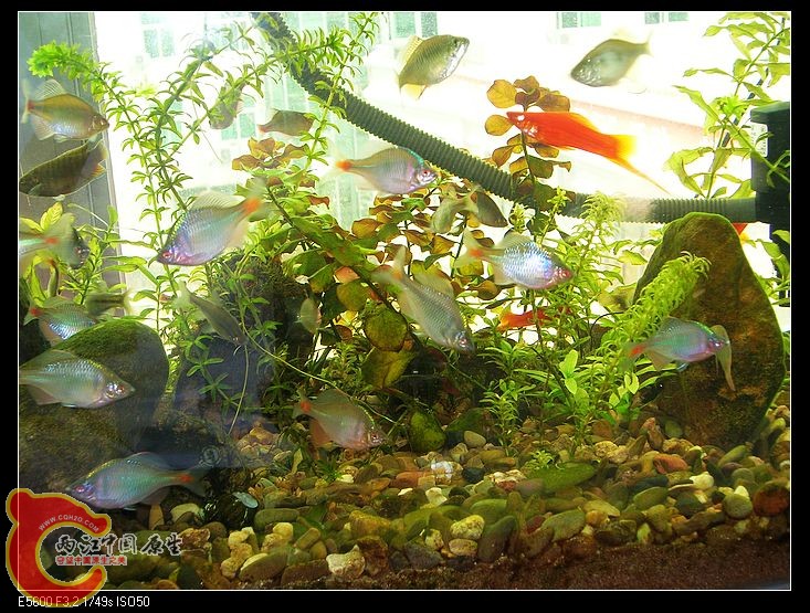 nEO_IMG_DSCN5485.jpg nEO_IMG_DSCN5485.jpg