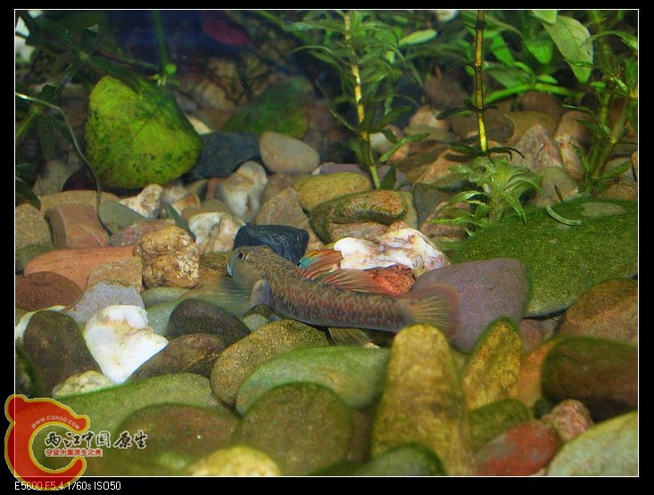 nEO_IMG_DSCN5483.jpg nEO_IMG_DSCN5483.jpg