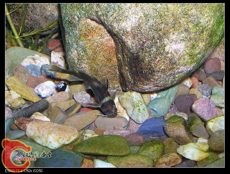 nEO_IMG_DSCN5493.jpg nEO_IMG_DSCN5493.jpg