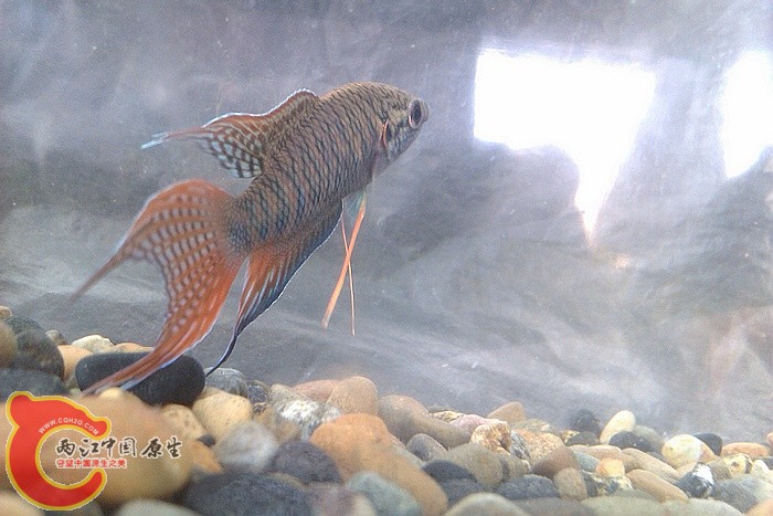 IMAG1074.jpg