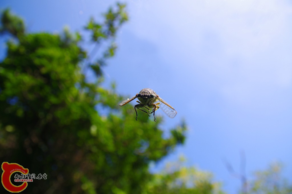 IMGP8820副本.jpg