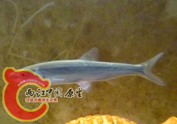 2024443a9z93zrw2qmalfz_副本.jpg