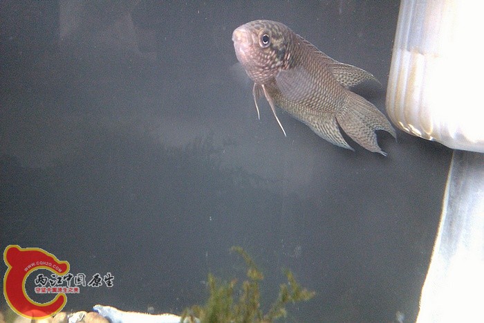IMAG1086.jpg