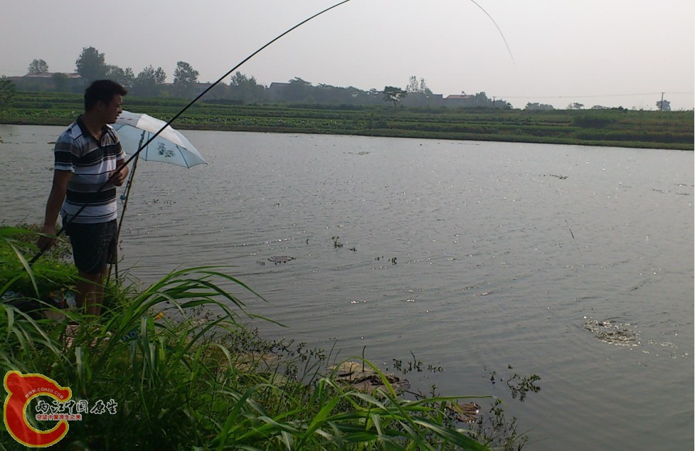 未命名7.jpg