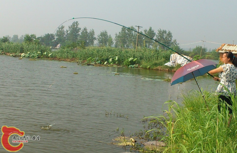 未命名6.jpg