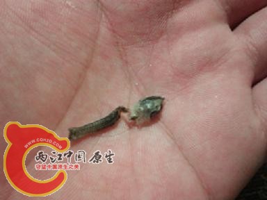 2012-08-10 21.37.15.jpg