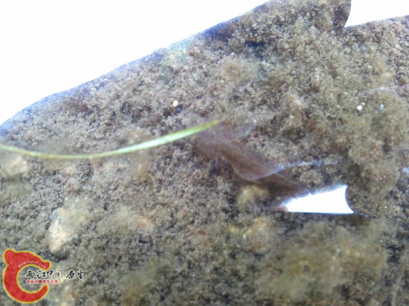 2012-07-08 08.04.45.jpg