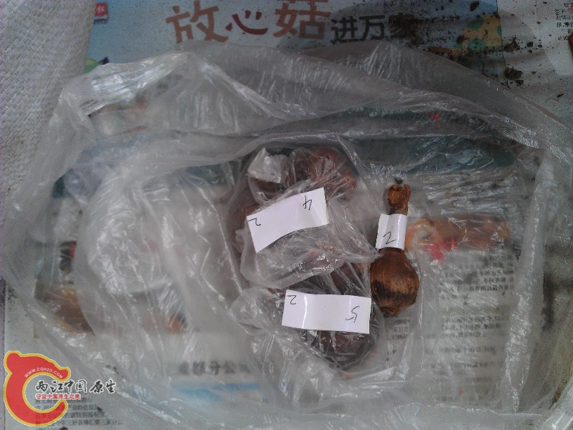 tbtbIMG_20120728_103003.jpg