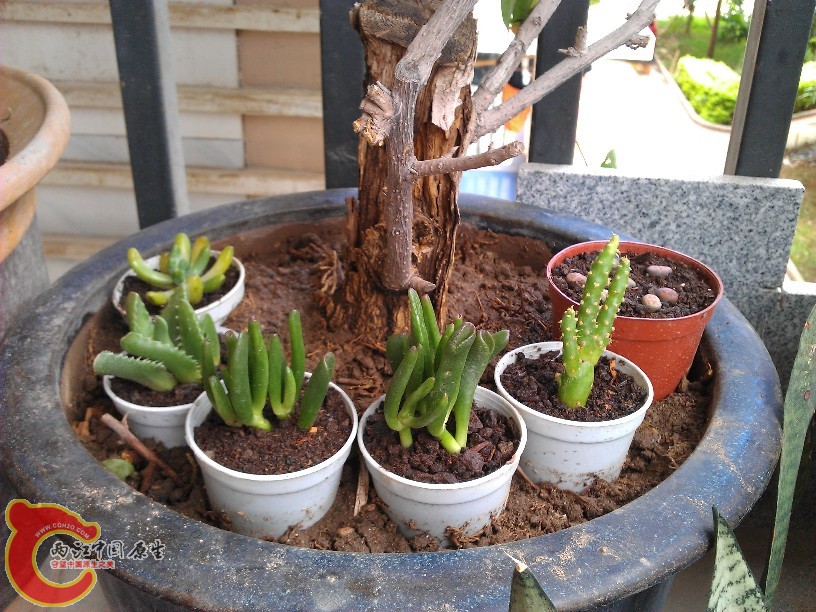 tbtbIMG_20120728_125340.jpg