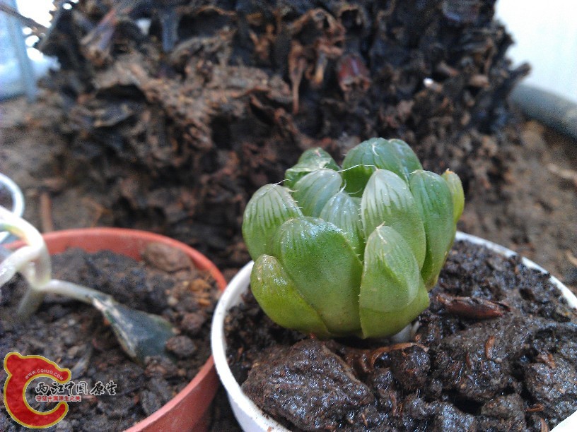 tbtbIMG_20120728_125409.jpg