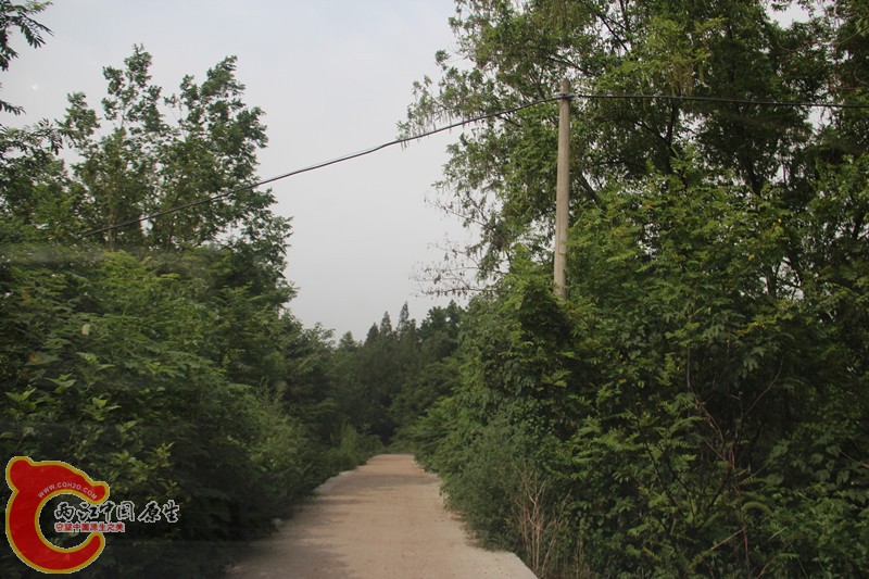 IMG_6246_副本.jpg