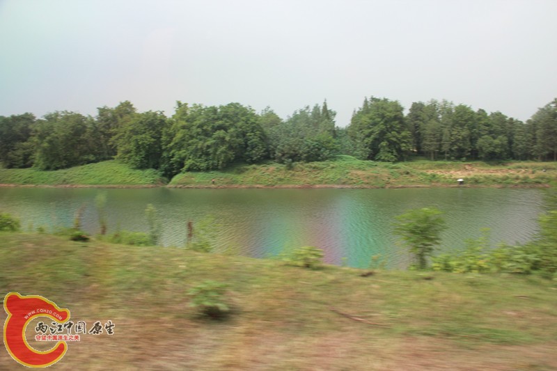 IMG_6249_副本.jpg