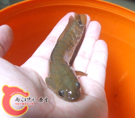 QQ截图20120813165819.png