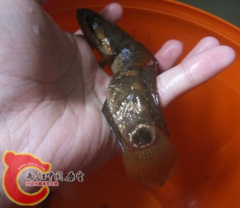 QQ截图20120813165910.jpg