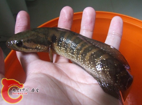 QQ截图20120813165918.jpg